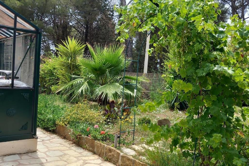Villa Magali Grande Terrasse Vue Mer, Jardin, Proche Port La Ciotat Buitenkant foto