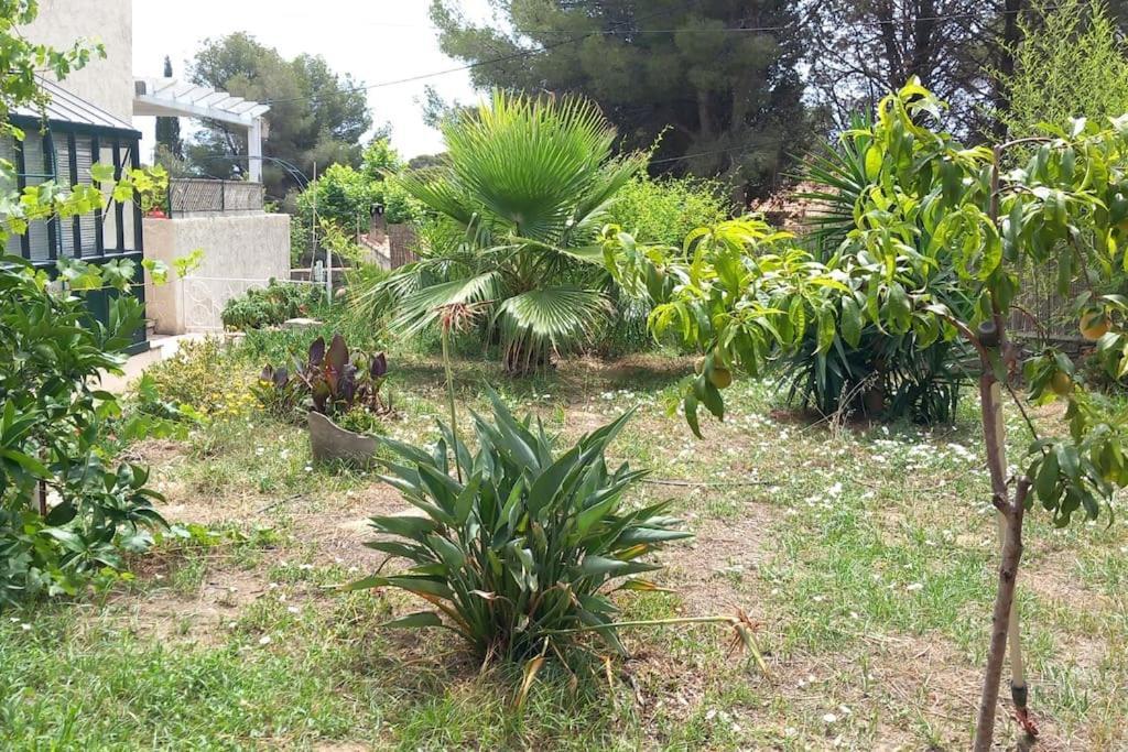 Villa Magali Grande Terrasse Vue Mer, Jardin, Proche Port La Ciotat Buitenkant foto