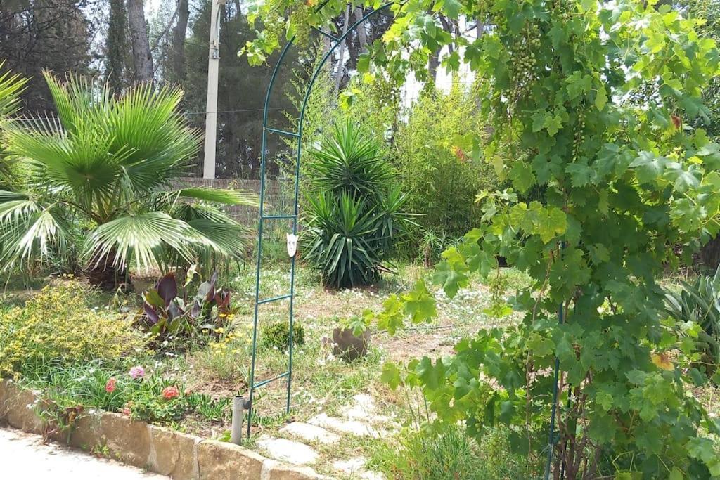 Villa Magali Grande Terrasse Vue Mer, Jardin, Proche Port La Ciotat Buitenkant foto