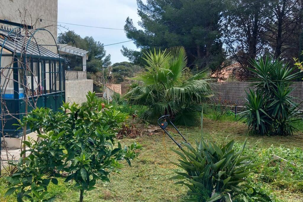 Villa Magali Grande Terrasse Vue Mer, Jardin, Proche Port La Ciotat Buitenkant foto